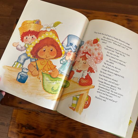 Vintage 1983 Strawberry Shortcake And Sad Mr. Sun Hardcover Book - Picture 8 of 13
